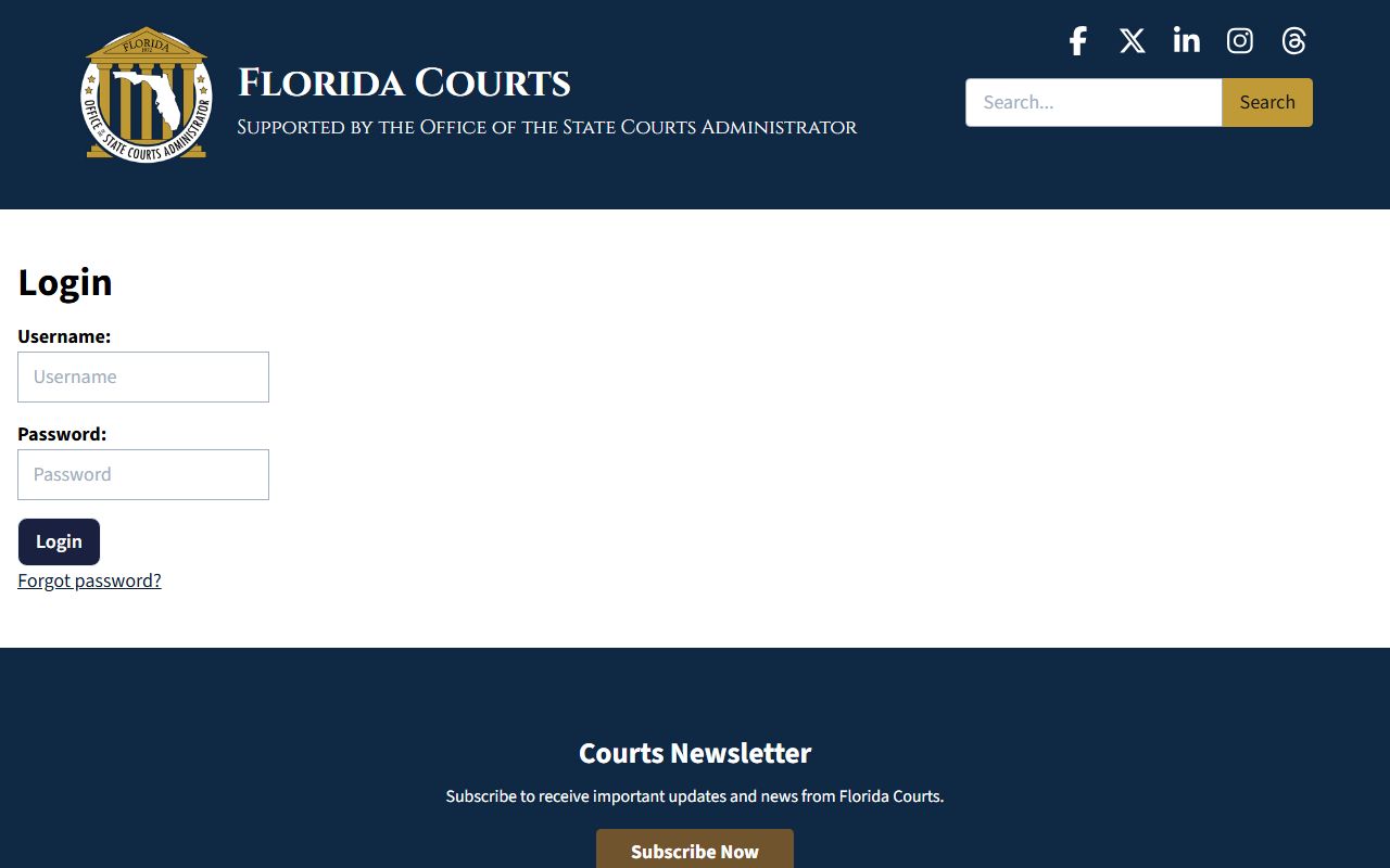 Florida dissolution of marriage records source screenshot